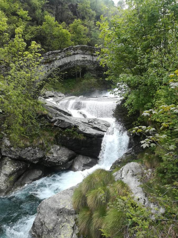Hotel La Stella Delle Alpi Vico Canavese Zewnętrze zdjęcie