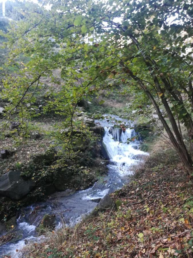 Hotel La Stella Delle Alpi Vico Canavese Zewnętrze zdjęcie