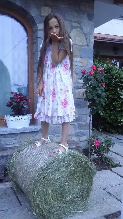Hotel La Stella Delle Alpi Vico Canavese Zewnętrze zdjęcie